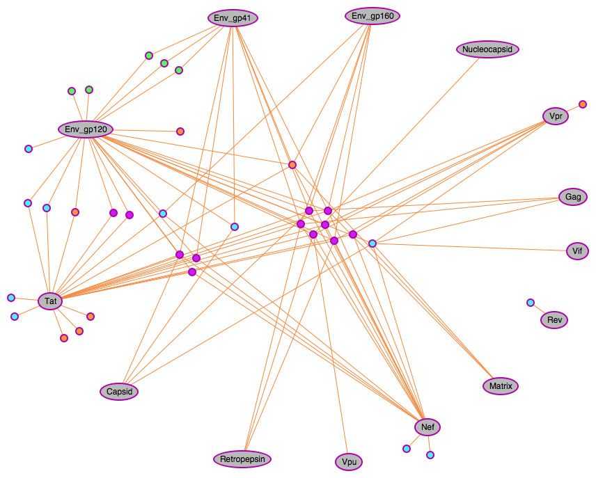 HIV-1-Human interaction network after filtering